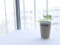 現在做什么生意能掙錢？這5種生意普通人不要碰！